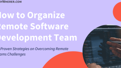 how to organize remote software development team