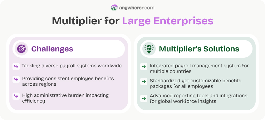 multiplier platform solutions for large enterprises